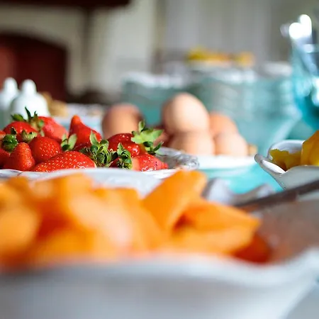 Gruber 트리에스테